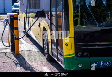 Schwerin, Deutschland. September 2024. Ein Elektrobus für den Einsatz in ländlichen Gebieten wird im Depot der VLP-Transportgesellschaft mit Strom aufgeladen. Die Kreisverkehrsgesellschaft Ludwigslust-Parchim war das erste Unternehmen in Deutschland, das Busdienste im ländlichen Raum großflächig auf Elektrofahrzeuge umstellte. Seit zwei Jahren sind im flächenmäßig zweitgrößten Bezirk Deutschlands 45 E-Busse im Einsatz. Quelle: Jens Büttner/dpa/Alamy Live News Stockfoto