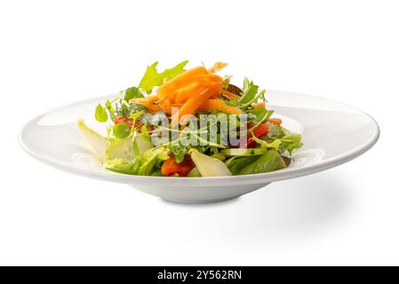 Salat mit Salat, Maissalat, Gurke, Karotten und Tomaten in weißer Platte isoliert auf weiß mit Schnittpfad im Lieferumfang enthalten Stockfoto