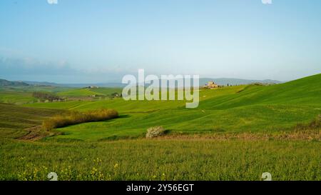 Die Landschaften, Hügel und Weinberge auf der Eroica-Route. Herbstlandschaft. Chianti, Toskana. Italien Stockfoto