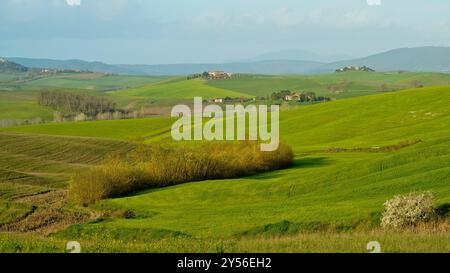 Die Landschaften, Hügel und Weinberge auf der Eroica-Route. Herbstlandschaft. Chianti, Toskana. Italien Stockfoto