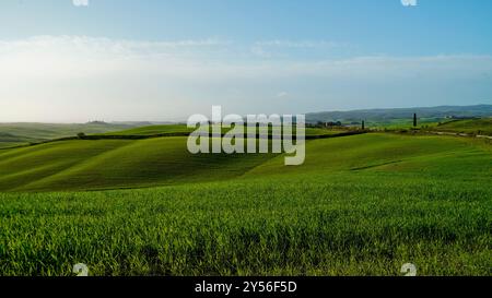 Die Landschaften, Hügel und Weinberge auf der Eroica-Route. Herbstlandschaft. Chianti, Toskana. Italien Stockfoto