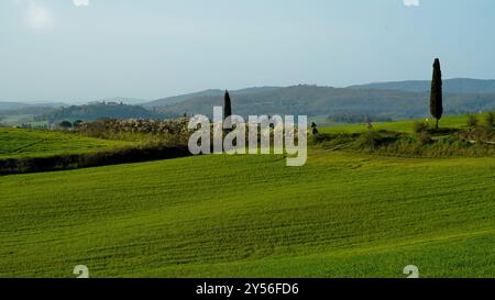 Die Landschaften, Hügel und Weinberge auf der Eroica-Route. Herbstlandschaft. Chianti, Toskana. Italien Stockfoto