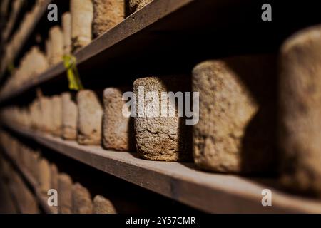 Castelmagno, der König der Käsesorten, reift leise in seinen Kellern. Stockfoto