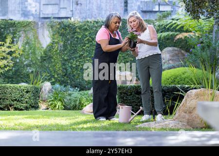 Gemeinsam im Garten arbeiten zwei hochrangige, multirassische Freundinnen, die Topfpflanzen im Garten untersuchen Stockfoto