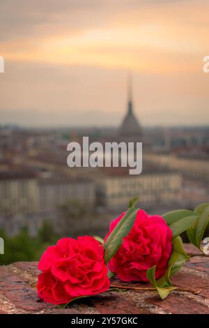 In Turin bietet die Terrasse des Cappuccini-Berges den besten Blick auf den Sonnenuntergang über der Stadt und der berühmten Mole Antonelliana. Stockfoto