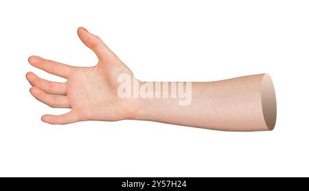 Die Hand der Frau streckt aus, um etwas zu ergreifen oder zu halten, isoliert auf weißem Hintergrund. Handfläche und Finger öffnen, um ein Objekt zu fangen oder auszuwählen. Elegantes Gr Stockfoto
