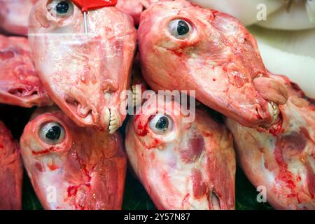 Frische Schafsköpfe werden in einem Stand im Mercat de la Boqueria hervorgehoben und zeigen lokale kulinarische Traditionen Barcelonas. Stockfoto