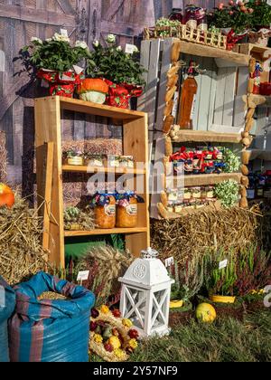 Domanice, Polen - 24. August 2024: Erntefest der Gemeinde Mietkow. Hausgemachte Konserven in den Regalen, landwirtschaftliche Nutzpflanzen, Kürbisse, Farbstoffe Stockfoto