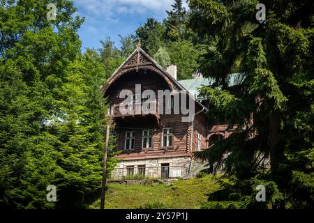 Miedzygorze, Polen - 19. Juni 2024: Alte schöne historische Villenhäuser im Dorf Miedzygorze im Snieznik-Massiv, Woiwode dolnoslaskie Stockfoto