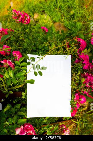 Weißes Papier und schöne Blumen Stockfoto