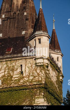 Schloss Vajdahunyad, eines der romantischen Schlösser in Budapest, Ungarn, im Stadtpark Stockfoto