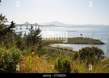 Blick auf die obere San Francisco Bay von Point Molate, Richmond, mit Blick auf die Richmond-San Rafael Brücke, tagsüber, mit Blick nach Südwesten. Stockfoto