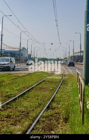 Städtische Straße mit Straßenbahnschienen, die entlang einer Straße verlaufen, von grünem Gras umgeben und von Autos A im Hintergrund umgeben. Hochwertige Fotos Stockfoto