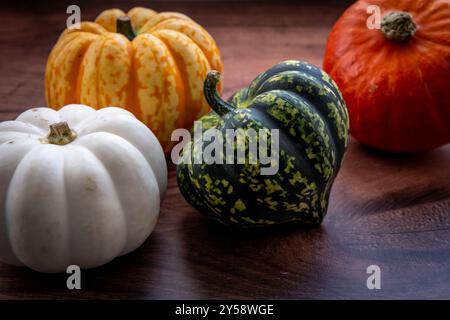 Nahaufnahme von Kürbissen oder Winterkürbis in verschiedenen Farben mit hölzernem Hintergrund. Stockfoto