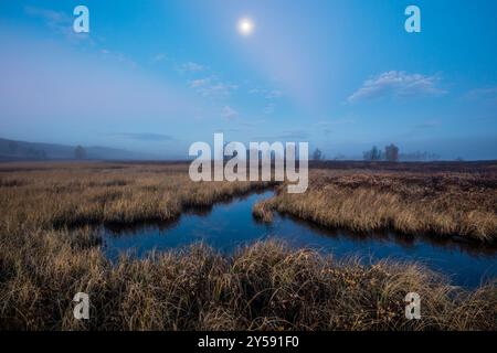 Herbstmond über den Sümpfen und Feuchtgebieten im Naturschutzgebiet Fokstumyra, Dovre, Innlandet Fylke, Norwegen, Skandinavien. Stockfoto