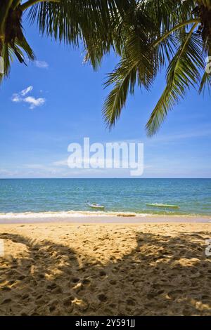 Sandstrand mit Palmen und Kanus in Phu Quoc in der Nähe von Duong Dong, Vietnam, Asien Stockfoto