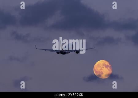 Ein Flugzeug fliegt nachts durch den bewölkten Himmel vor einem großen, leuchtenden Vollmond, Supermond, Stuttgart, Baden-Württemberg, Deutschland, Europa Stockfoto