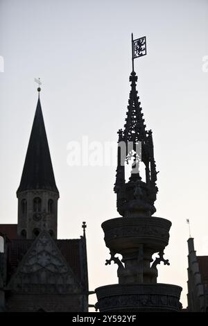 Kirchturm der Martinskirche und Altstädter Marktbrunnen hinterleuchtet, Altstadt, Traditionsinsel, Braunschweig, Niedersachsen, Deutschland, Europa Stockfoto