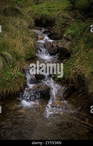 Kleiner Bach, Almenweg, Klammeben, Hirzer bei Saltaus, Schenna, Schenna, Passeiertal, Südtirol, Autonome Provinz Bozen, Italien, Europa Stockfoto