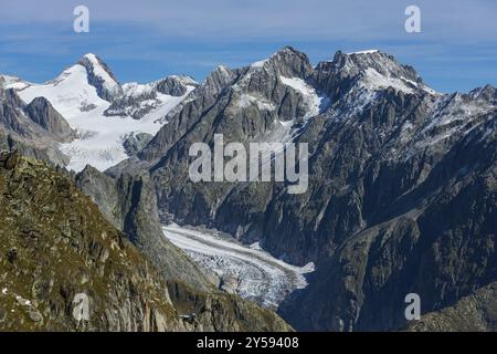 Blick vom Eggishorn auf den Fiescher Gletscher in der Aletsch Arena, Gletscher, Tourismus, Reisen, Wallis, Schweiz, Europa Stockfoto