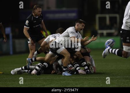 Newcastle, Gbr. September 2024. Harry Randall von Bristol Bears passiert während des Gallagher Premiership-Spiels zwischen Newcastle Falcons und Bristol im Kingston Park, Newcastle am Freitag, den 20. September 2024. (Foto: Chris Lishman | MI News) Credit: MI News & Sport /Alamy Live News Stockfoto