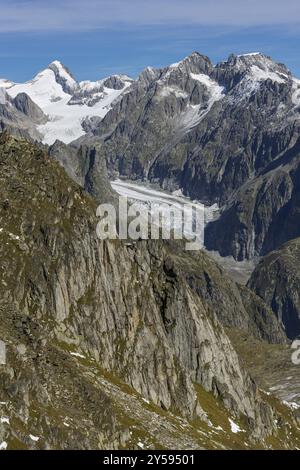 Blick vom Eggishorn auf den Fiescher Gletscher in der Aletsch Arena, Gletscher, Tourismus, Reisen, Wallis, Schweiz, Europa Stockfoto