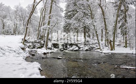 Selketal Harz Selke Wasserfall im Winter Stockfoto