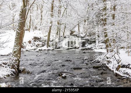 Selketal Harz Selke Wasserfall im Winter Stockfoto