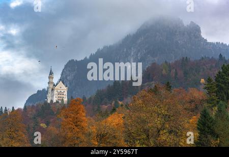 Bunte Herbstlandschaft mit Herbstwald, bewölkten Berggipfeln und Schloss Neuschwanstein, in Füssen, Bayern, Deutschland, Europa Stockfoto