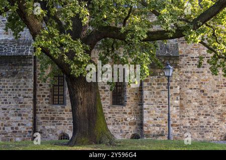 Bilder aus der Landeshauptstadt Magdeburg Stockfoto