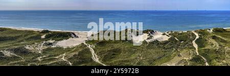 Dünenlandschaft auf Holmsland Klit bei Hvide Sande in Dänemark Stockfoto