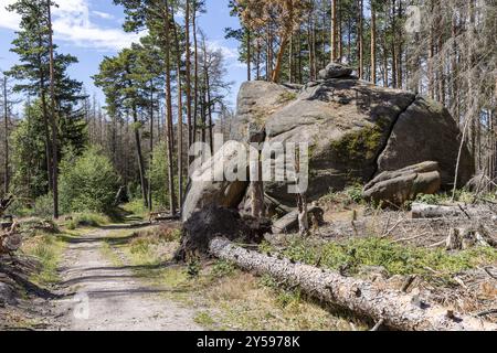 Eindrücke aus Ilsenburg Harz und Umgebung Stockfoto