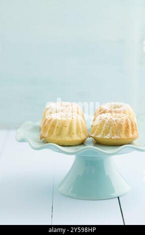 Bundt-Küchlein mit Puderzucker auf eine Kuchenplatte Stockfoto