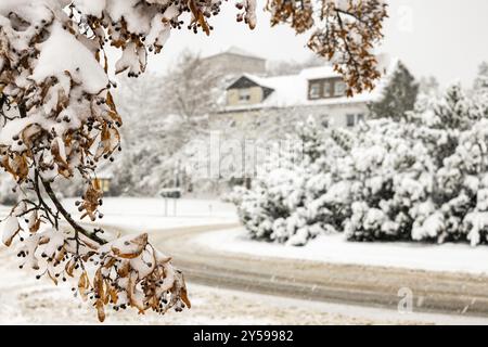 Wintereindrücke aus Harzgerode im Harz Stockfoto