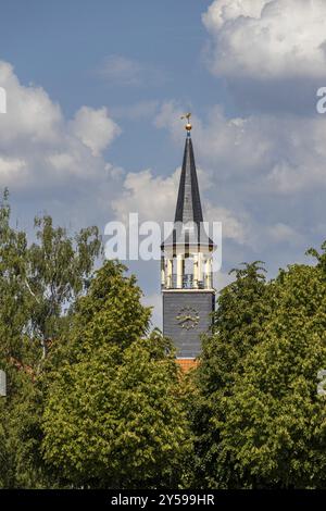 Bilder aus dem Ilsenburger Harz Stockfoto