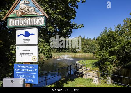 Guentersberge Harz Selketal Brauteich Stockfoto