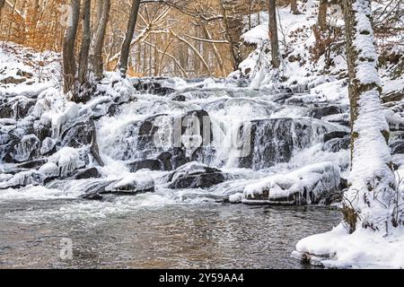 Selke Wasserfall bei Alexisbad im Selketal Harz im Winter mit Eis und Schnee Stockfoto