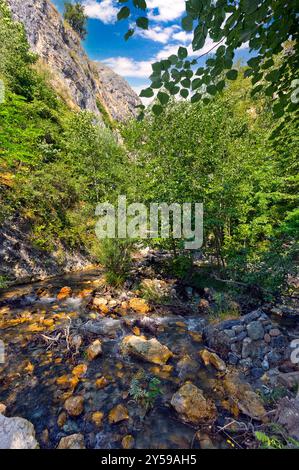 Italien Piemont Orrido von Chianocco Park Stockfoto