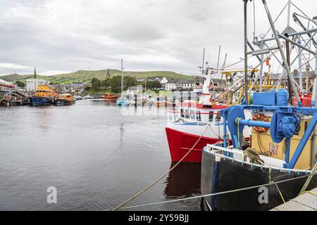 Fischerboote im Hafen, Girvan, Dumfries & Galloway, Schottland, Vereinigtes Königreich, Europa Stockfoto