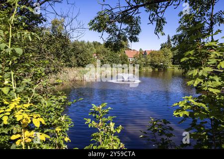 Guentersberge Harz Selketal Brauteich Stockfoto