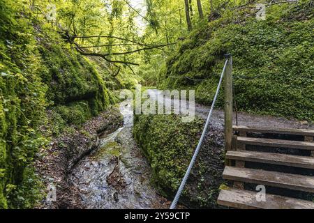 Wanderweg durch die Drachenschlucht in Eisenach Thüringen Stockfoto