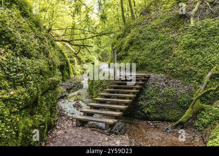 Wanderweg durch die Drachenschlucht in Eisenach Thüringen Stockfoto