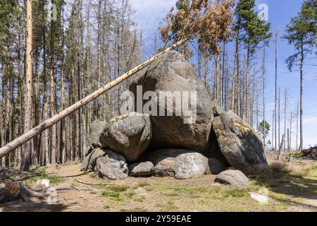 Eindrücke aus Ilsenburg Harz und Umgebung Stockfoto