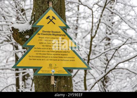 Selketal Harz Selke Wasserfall im Winter Stockfoto