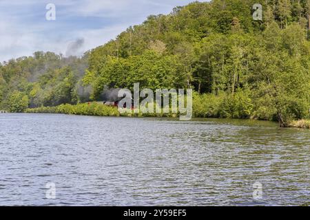 Selketal-Bahn bei Guentersberge Harz unter Dampf Stockfoto