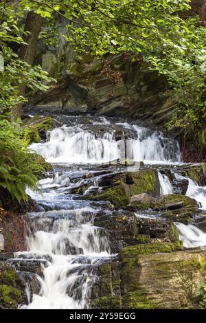 Harz Wasserfall Selkefall Selkefall Selketal Harz Stockfoto