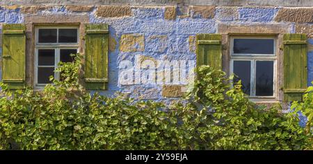 Blau lackierten Fassade des Deutschen Hauses mit zwei alten Holzfenster und Fensterläden, teilweise mit Weinreben bedeckt Stockfoto