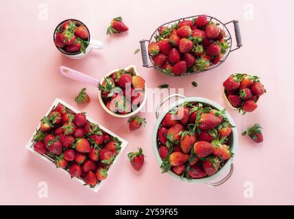 Bio-Erdbeerfrüchte in vielen Behältern, Box, Sieb, Becher und Korb auf nahtlosem rosa Hintergrund. Frische Erdbeeren. Sommerernte Stockfoto