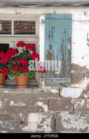 Ausschnitt aus einer alten Hausfassade mit schönen roten Blumen am Fenster Pille gegen die alten Fensterläden und die Geschälten Wand Stockfoto