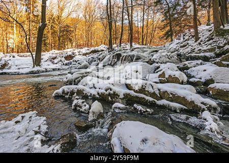 Selke Wasserfall bei Alexisbad im Selketal Harz im Winter mit Eis und Schnee Stockfoto